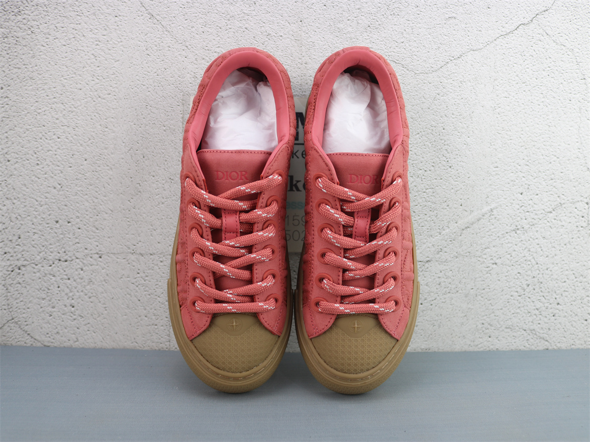 Stone Island x Dior B33 Skateboard Shoes Low-Top Red